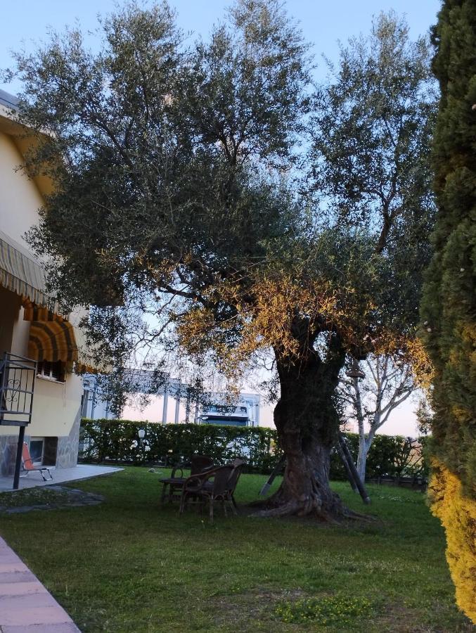 Magnolia House Apartment Scanzano Jonico Bagian luar foto