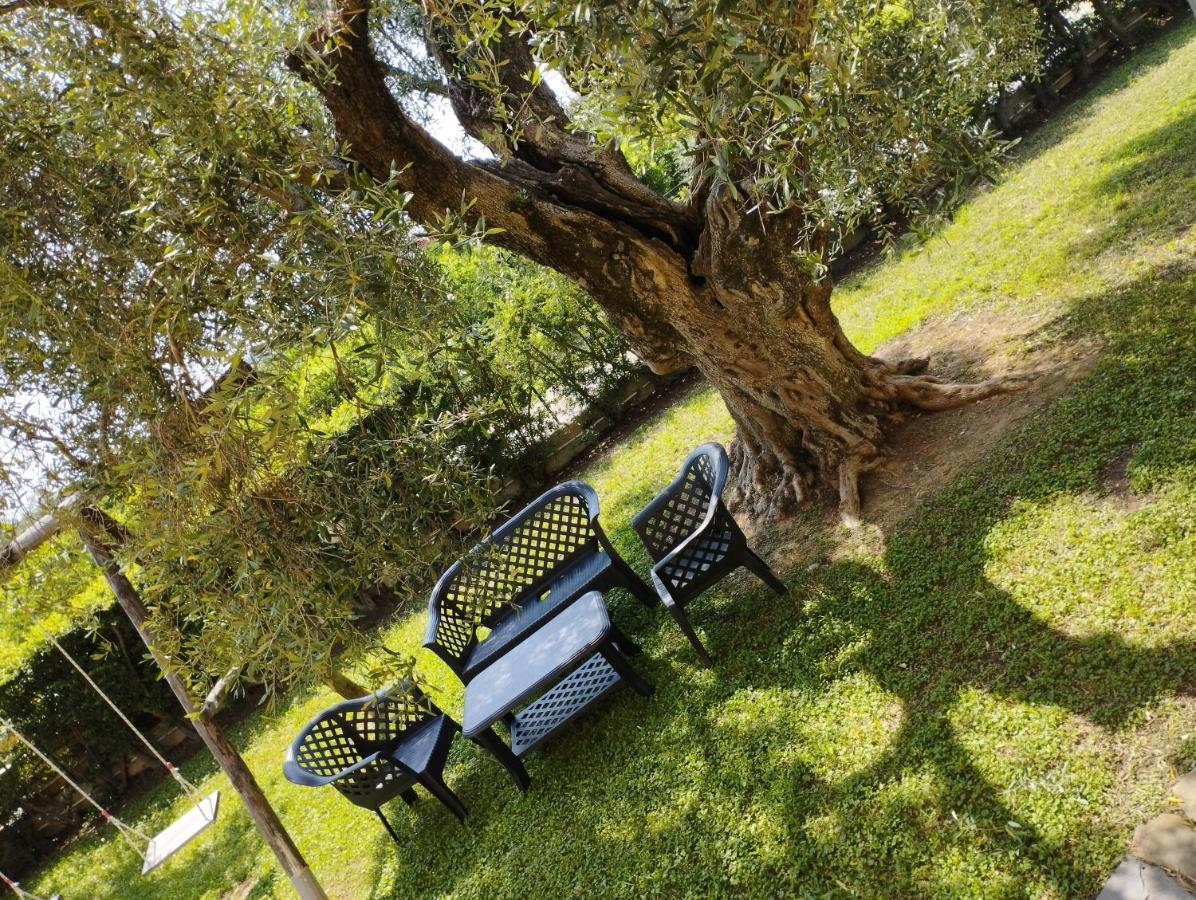 Magnolia House Apartment Scanzano Jonico Bagian luar foto